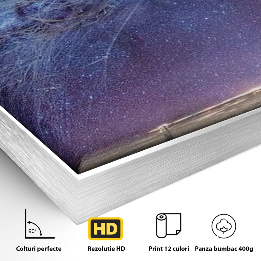 Detaliu al suprafetei: ilustratie digitala cu meduza cosmica si stele, in rama de aluminiu argintiu